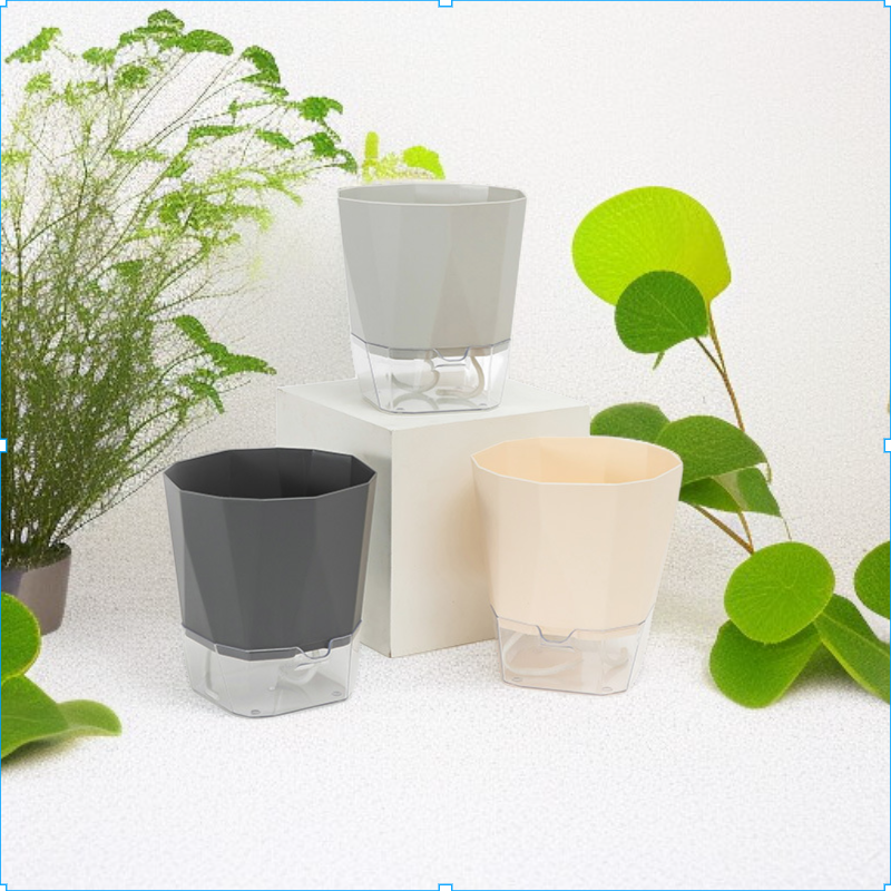 두꺼워진 심플한 실내 수경재배 다육식물 화분