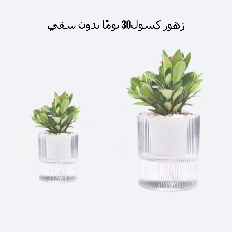 وعاء زهور لتخزين المياه