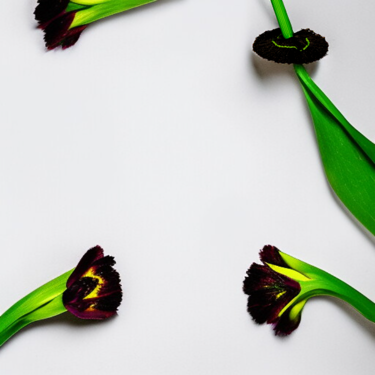 竹繊維絞れるモップ