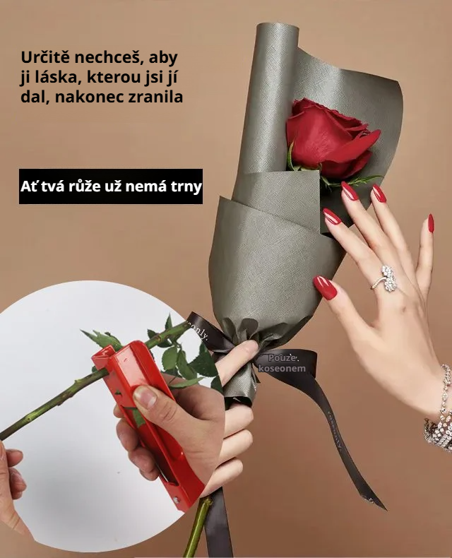 Detailní pohled na kleště odstraňující trn z růžového stonku