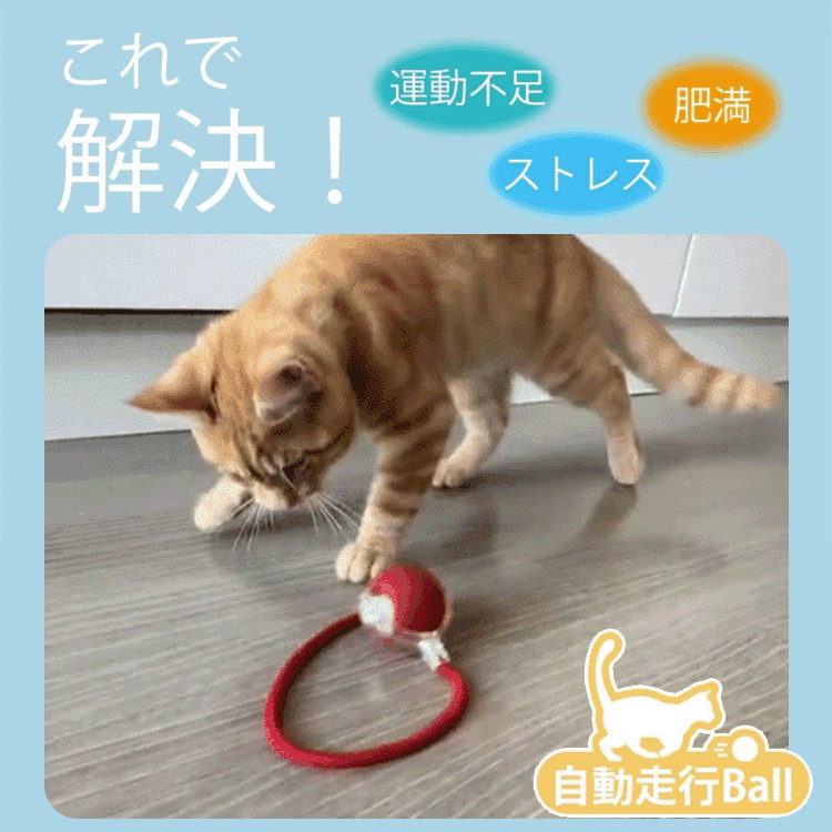 球体自動猫じゃらし