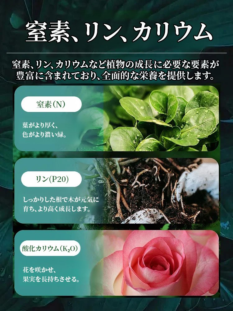 【ドイツ式】かけるだけで枯れ葉が復活！魔法の「爆根」再生液（土替え不要）