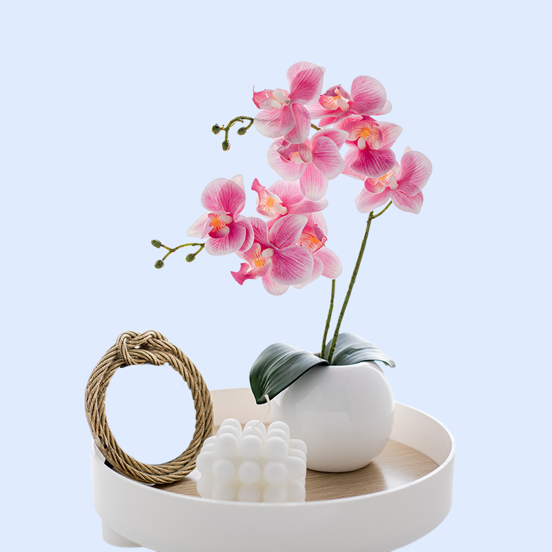 7 (3).png