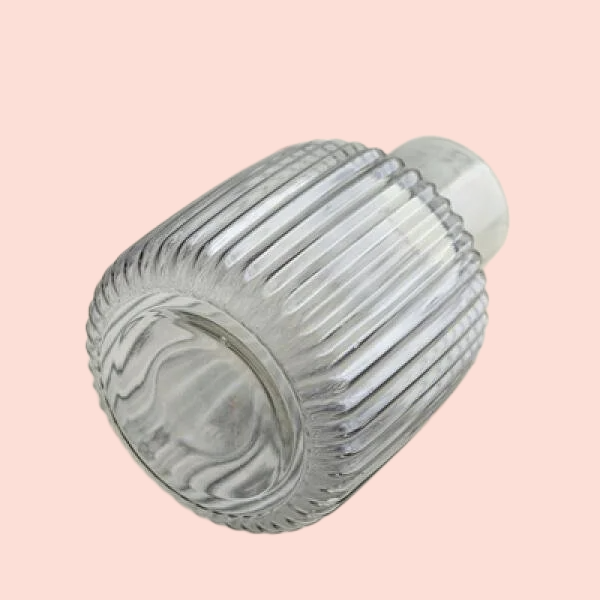 Nordic simple relief glass transparent small vase