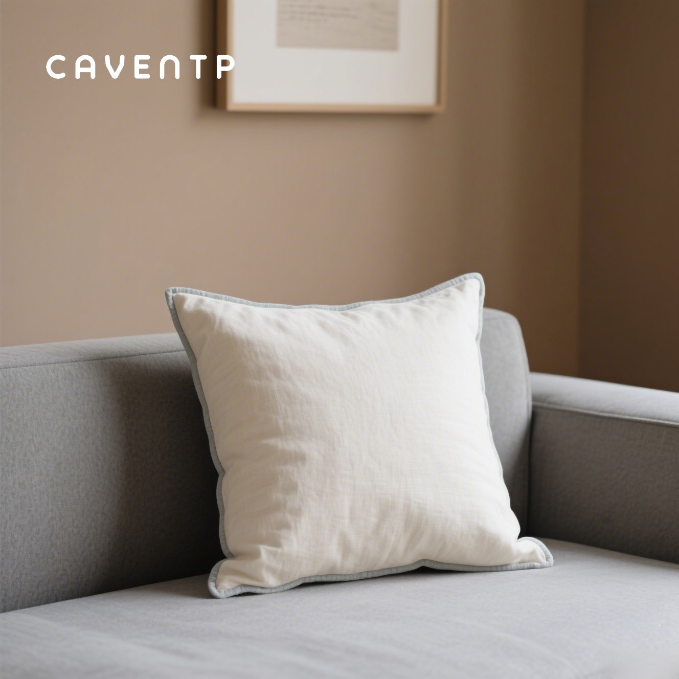 Kissen aus reiner Baumwolle und Seide