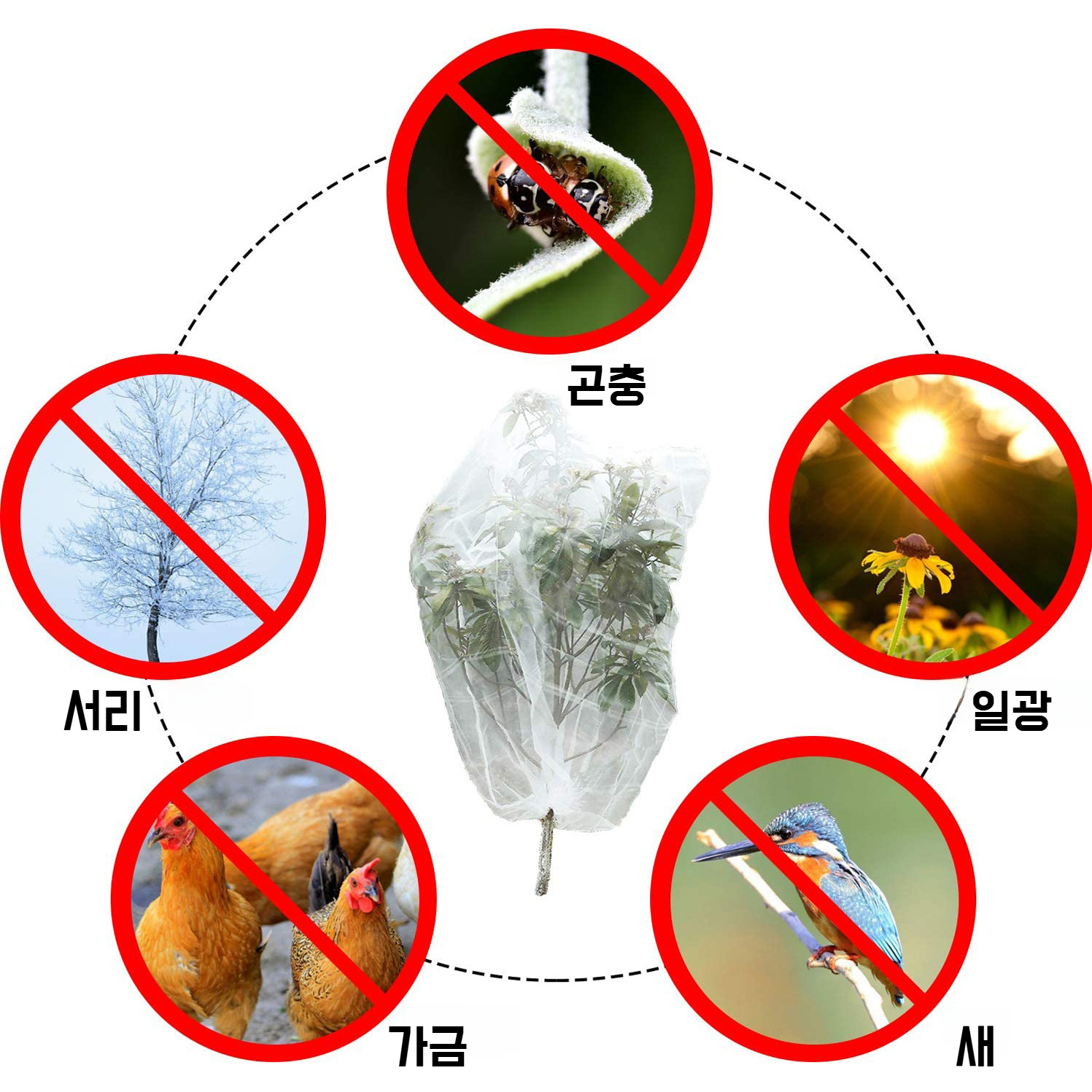 방충망의 해충 차단 기능 강조