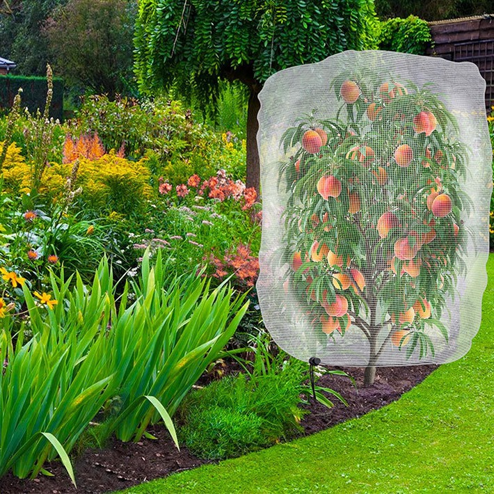 과수원용 방충망덮개 적용 예시