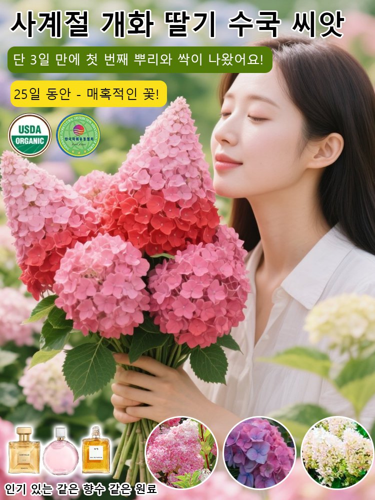 사계절 개화 딸기 수국 씨앗