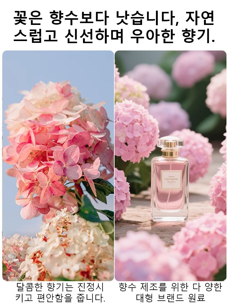 사계절 개화 딸기 수국 씨앗