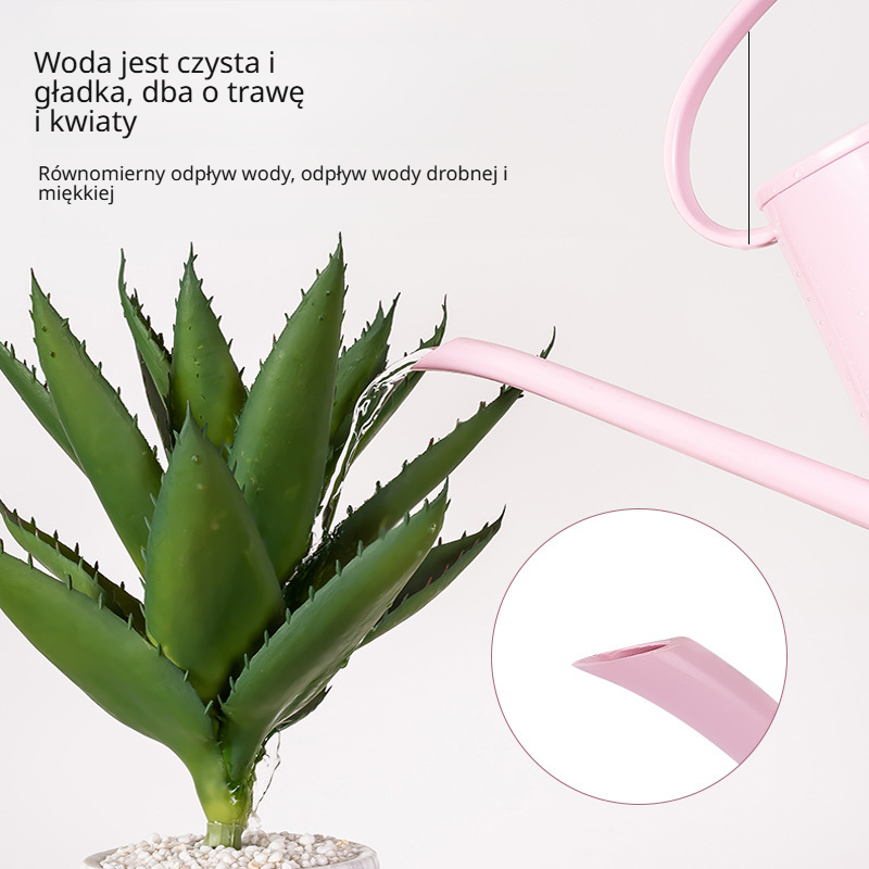 Duży opryskiwacz do użytku domowego 