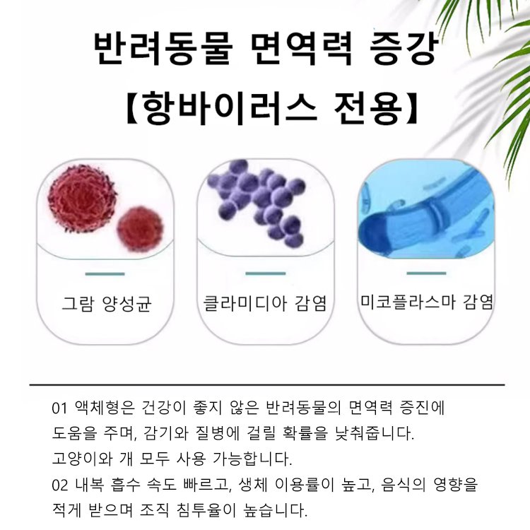 애견 건강 항바이러스제