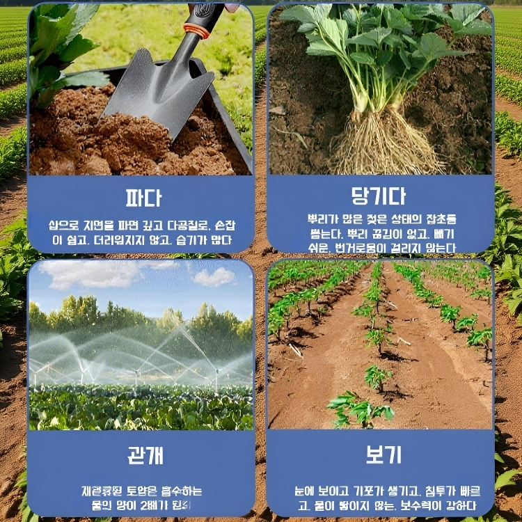 영양 토양 활성제