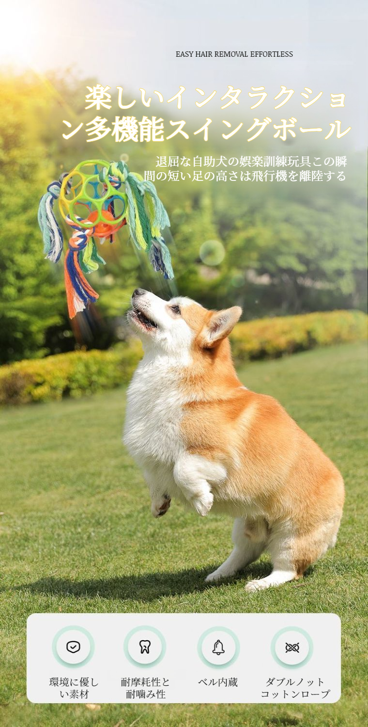 サウンドベル付き犬のおもちゃを遊ぶ犬の写真