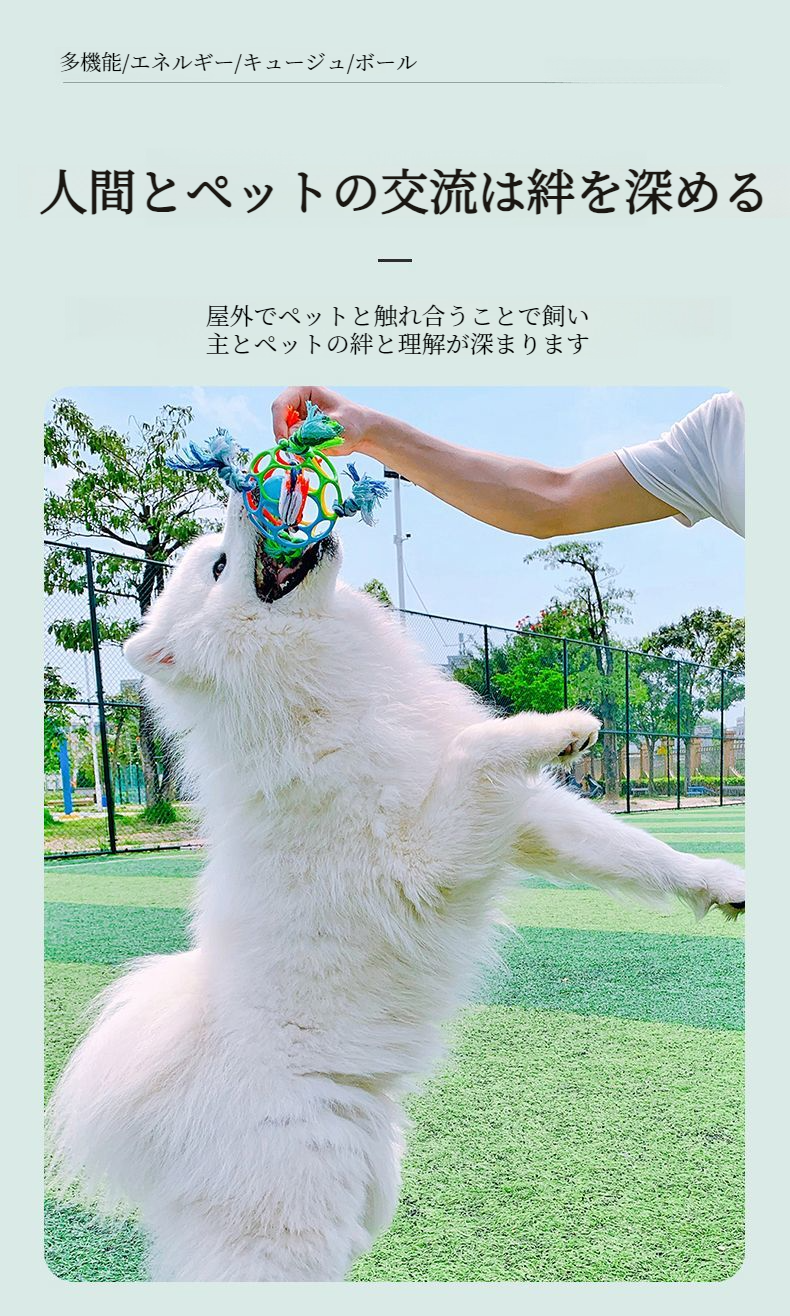 ペット用かじるおもちゃのサイズ比較イメージ