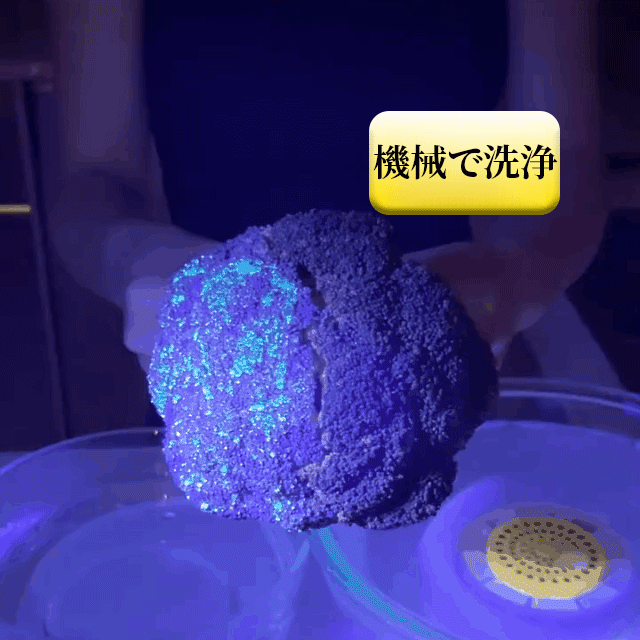 1.gif