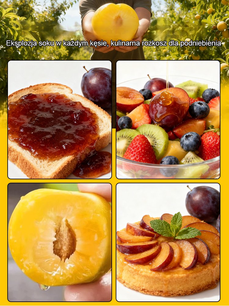 【Super słodkie duże owoce wysokiej jakości C】Sadzonki śliwy miodowej z tamtego roku.