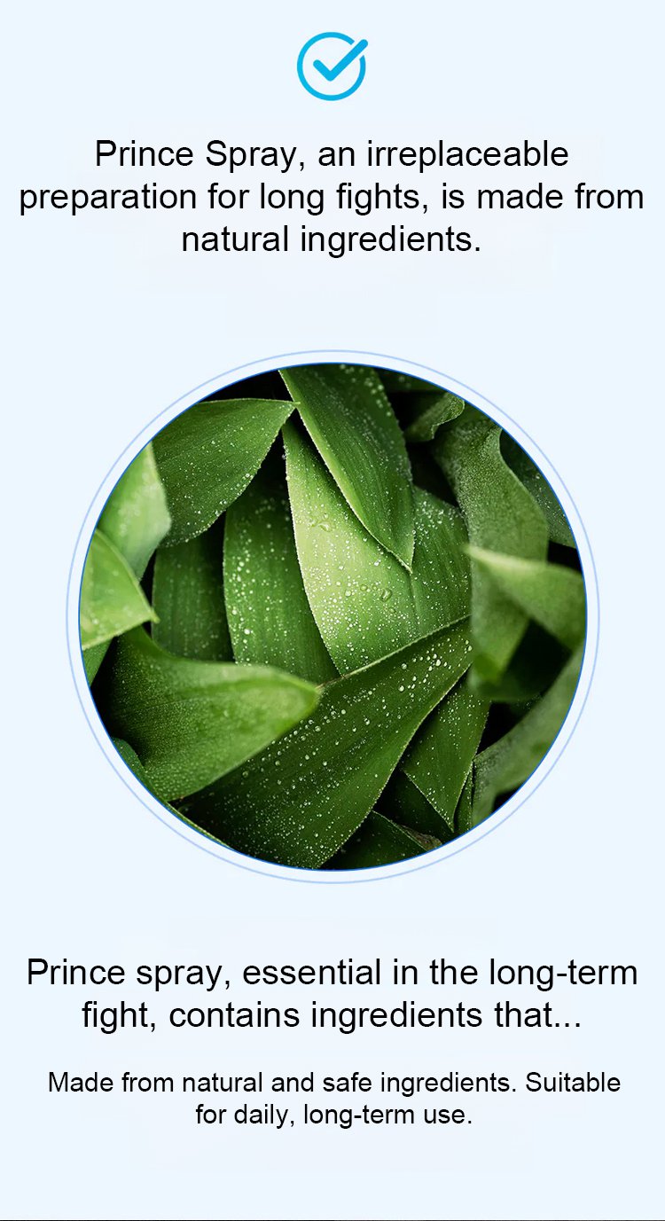 NORTH MOON Prince Delay Spray image NORTH MOON Prince Delay Spray