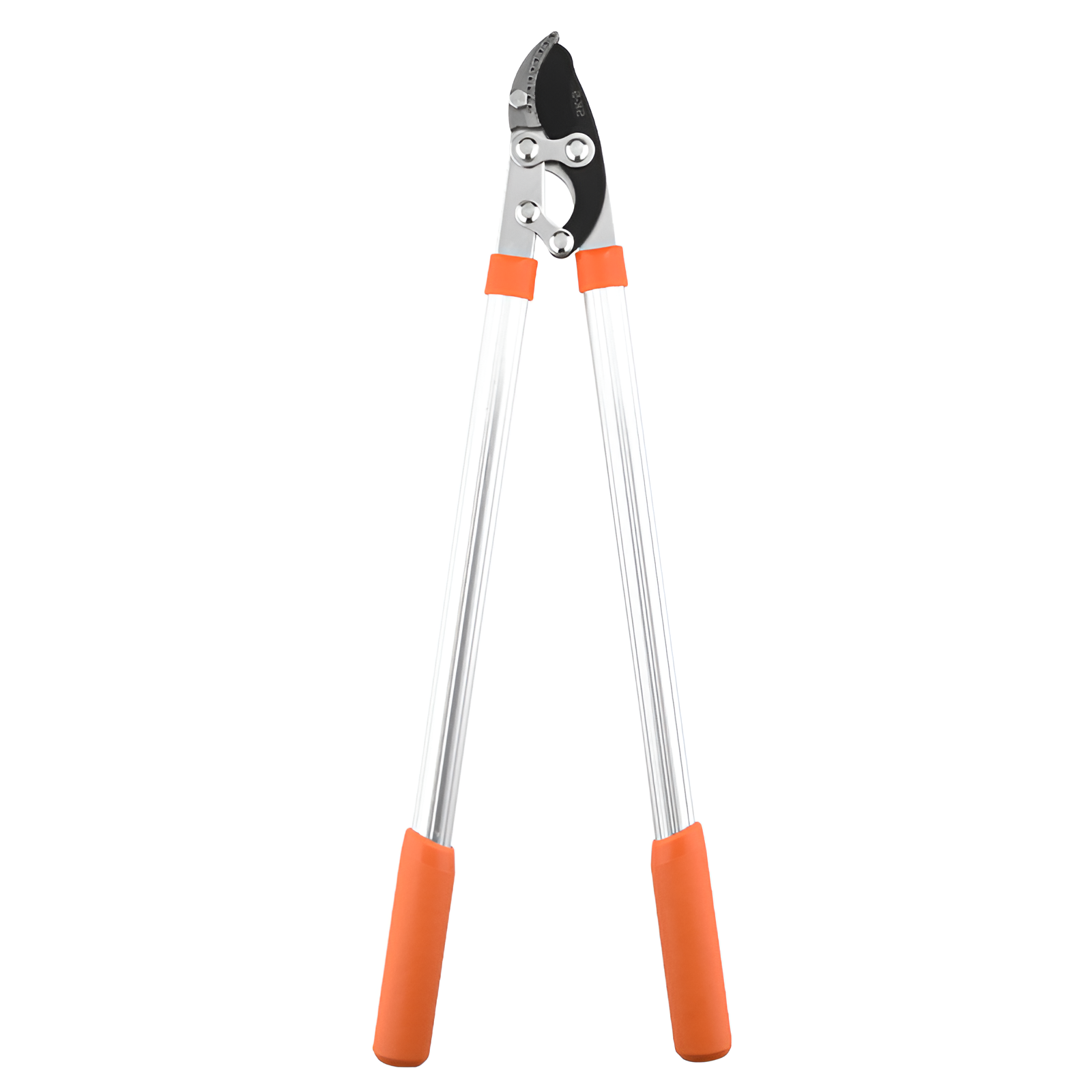 剪定枝鋏、果樹剪定、強剪定、庭太枝鋏、花枝強力剪定鋏、園芸工具、高枝鋏