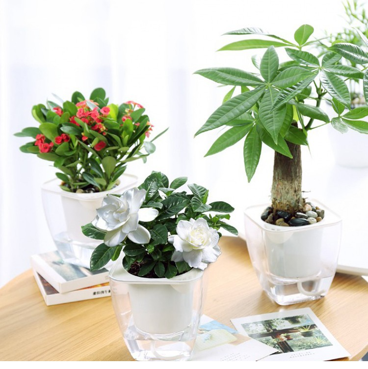 Plně průhledný automatický, vodou savý, líný květináč