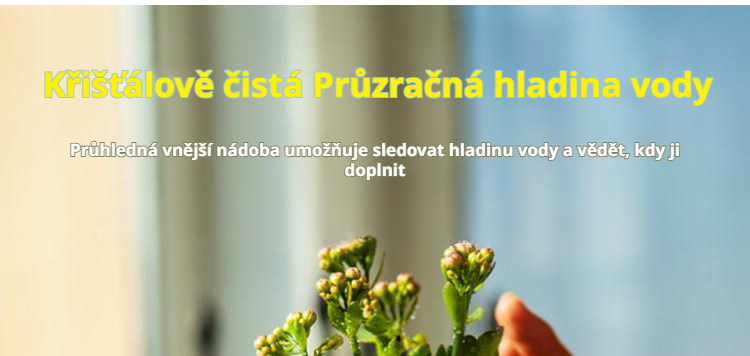 Easy care lazy flower pot with self-watering system