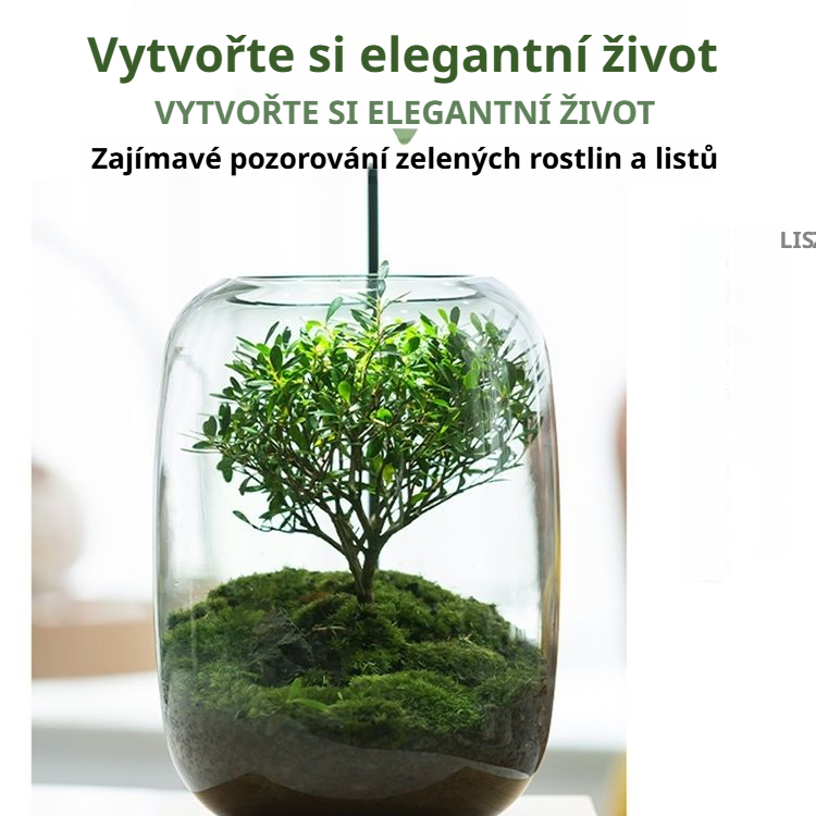 Hotová stolní bonsaj s mechem – miniaturní krajina