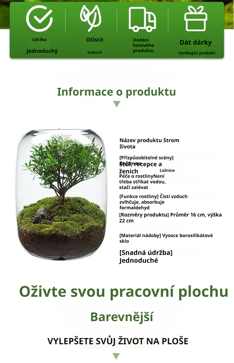 Stolní bonsaj s mechem – ideální dárek pro milovníky přírody
