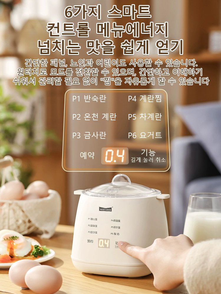 110V 다기능 계란찜기