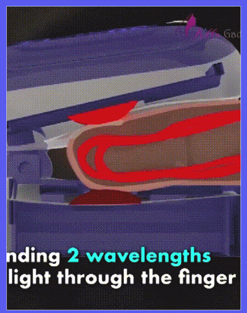 2.gif