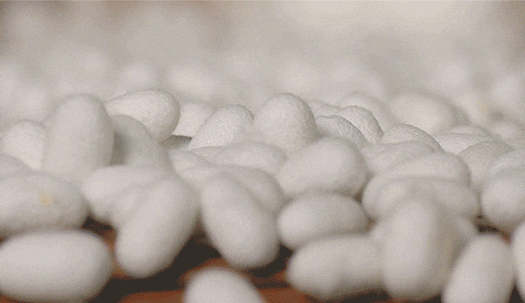 4cb68f76734d9e85b3f96b2669959458.gif