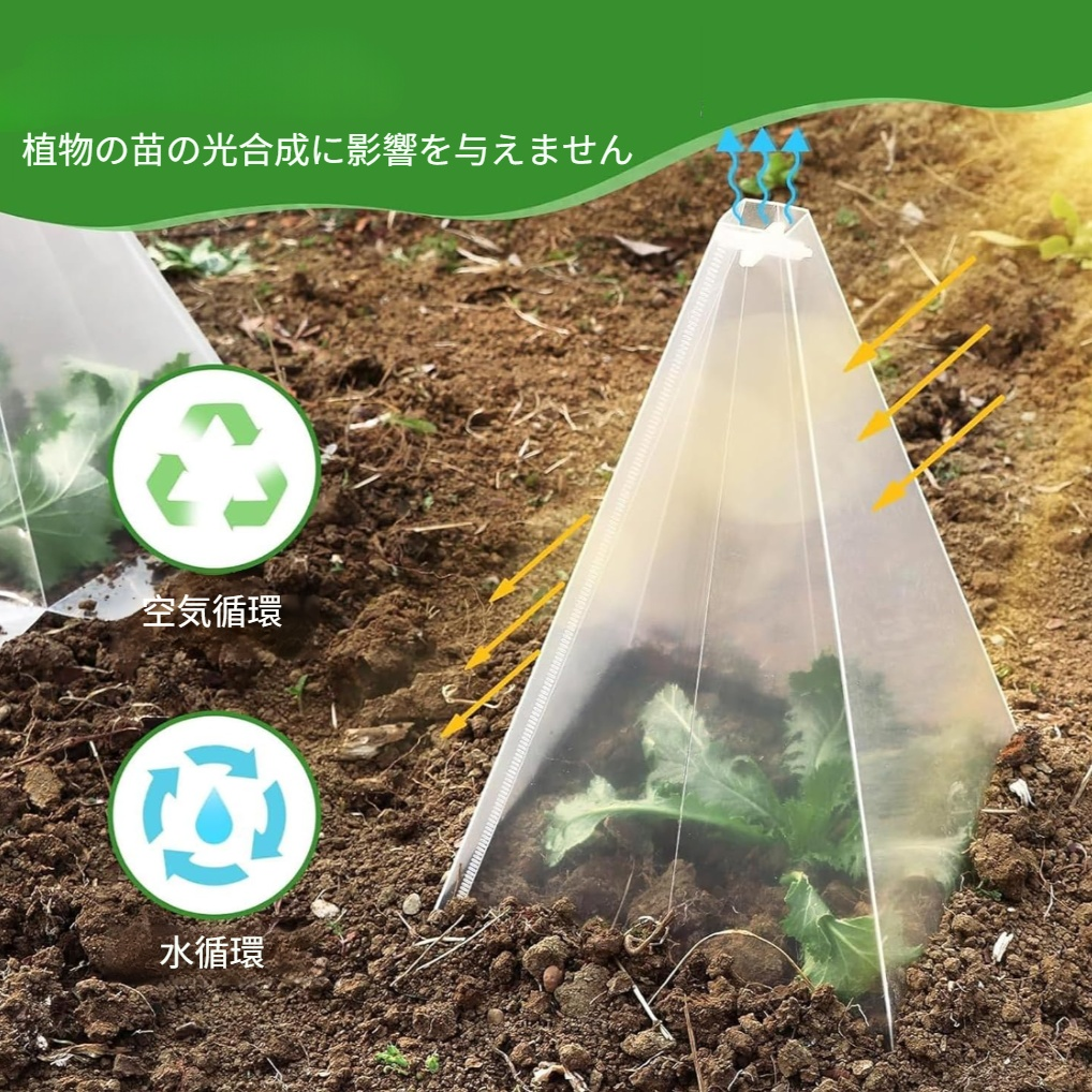 鳥や霜害から植物を保護するための植物コーングリーンベルカバーガーデン苗カバー