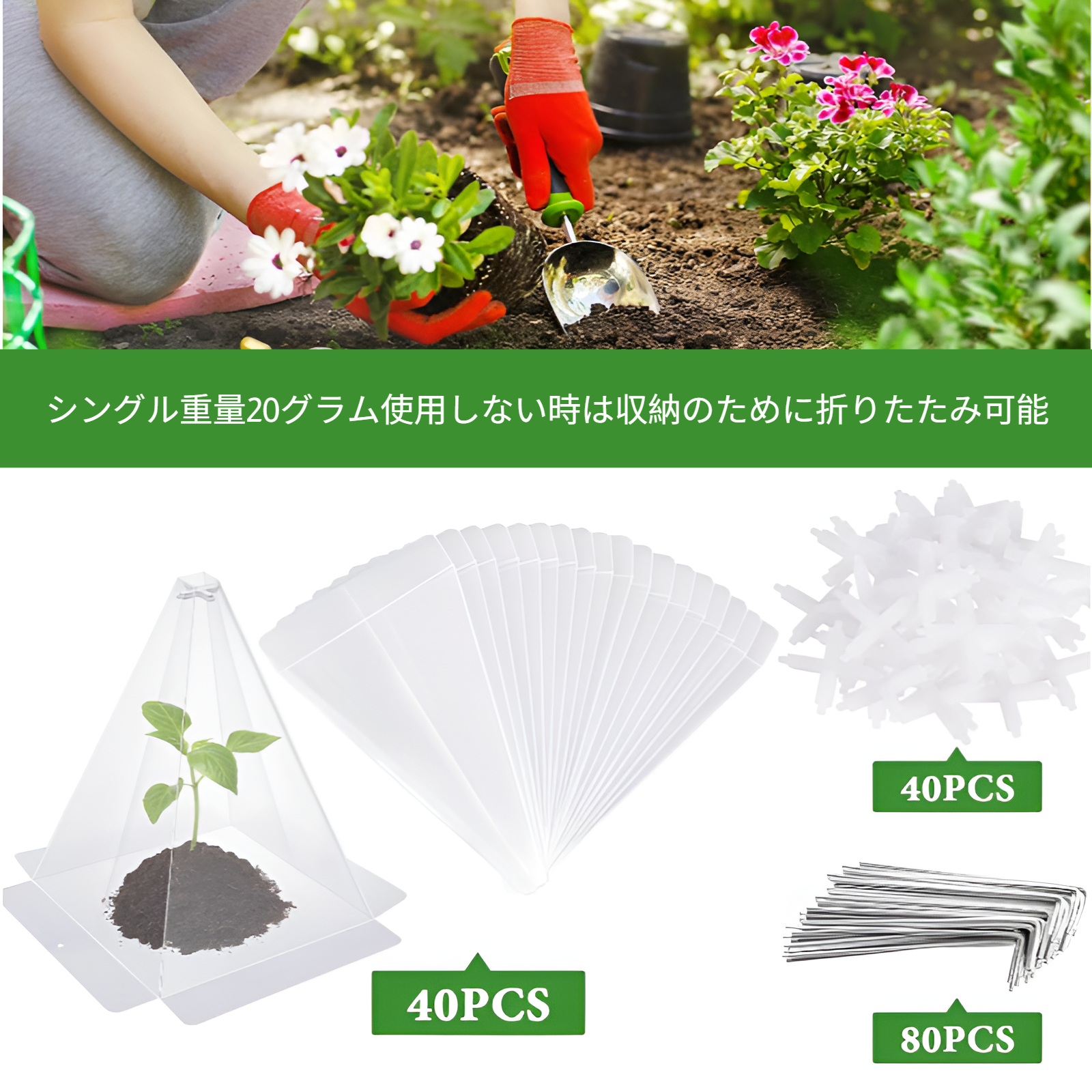 複数の植物に被せた苗保護カバー