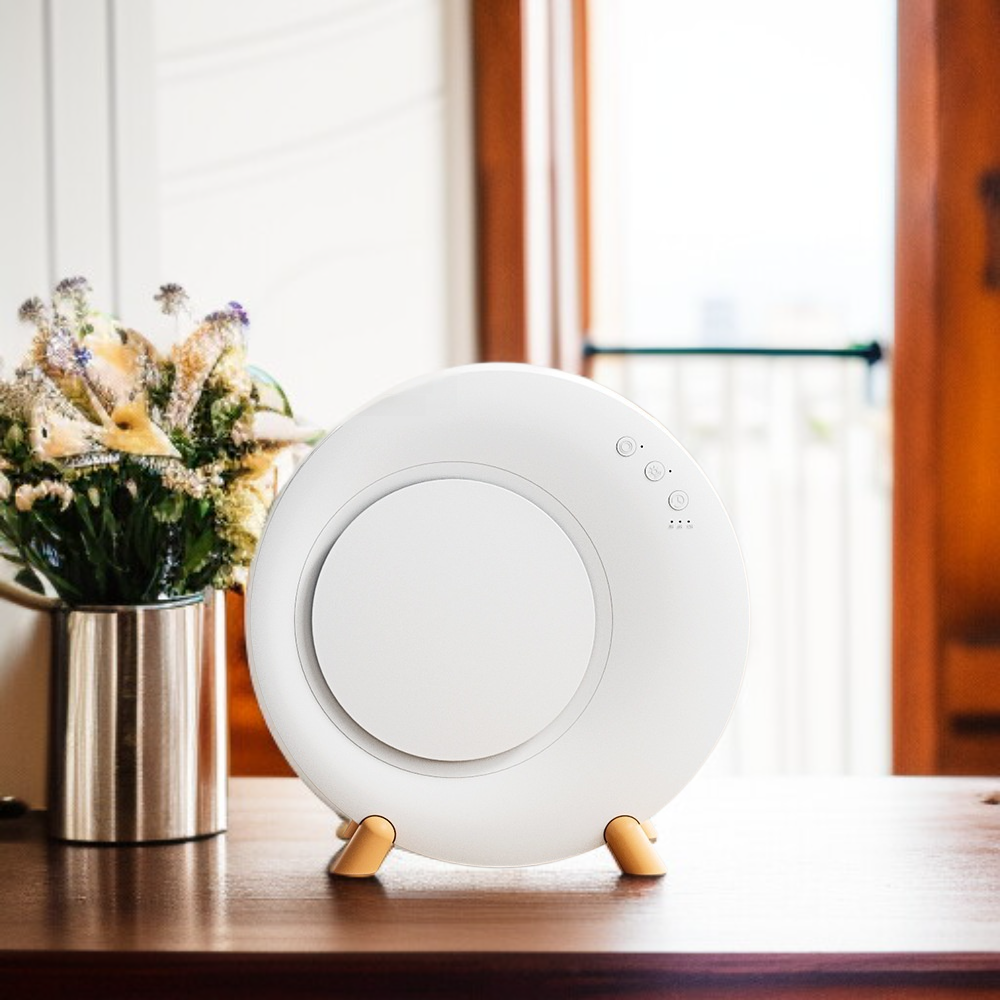 Déshumidificateur maison chambre à coucher muet petit déshumidificateur mini déshumidificateur déshu