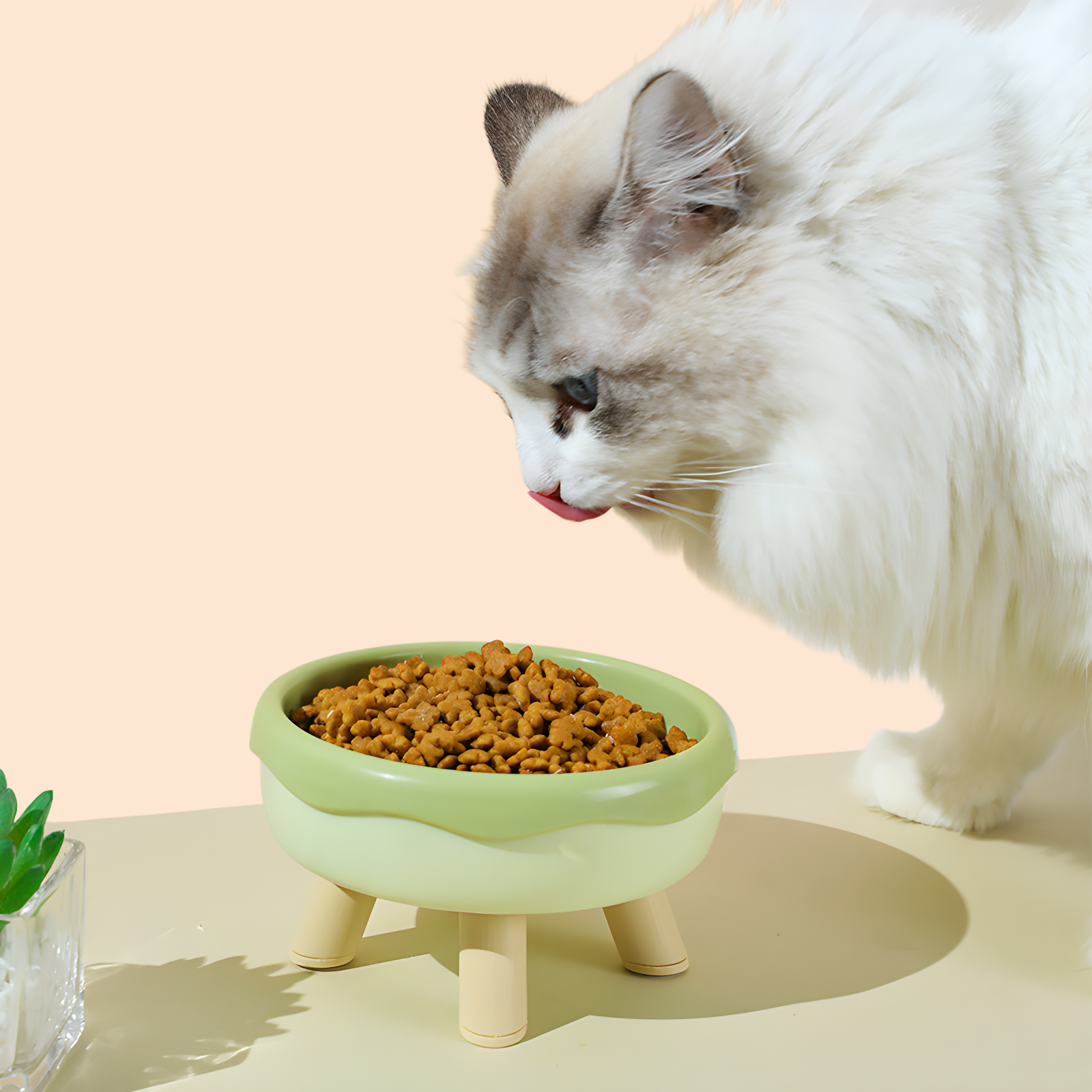 JMY-甜甜圈馬卡龍色貓碗四腳高碗塑膠平口貓咪食盤寵物用品