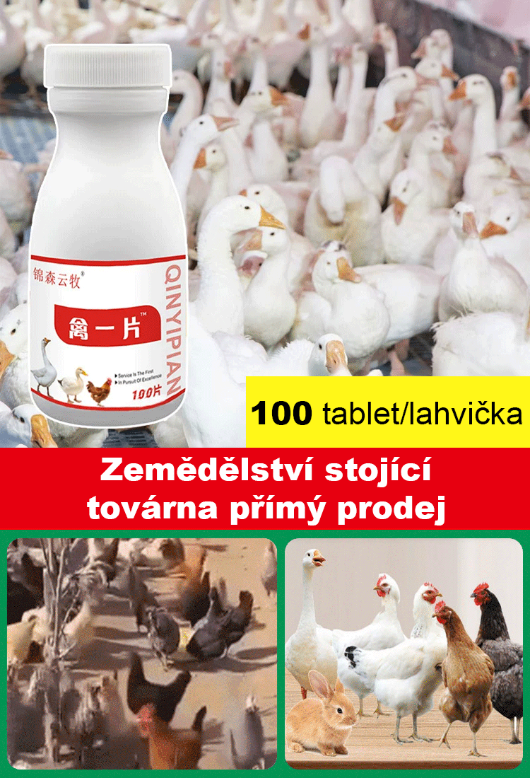 Doplňky krmiva pro drůbež