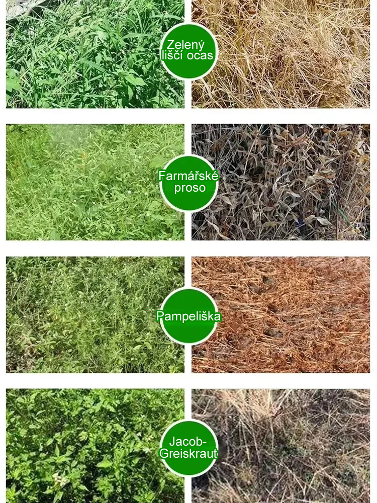 SL-Živný roztok v půdě