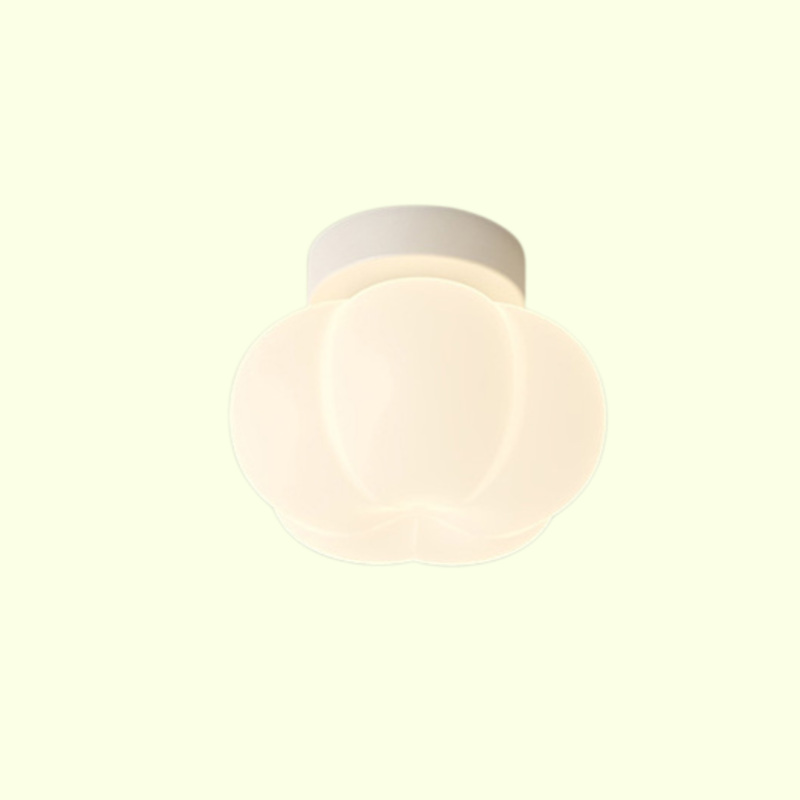 따스한 현관 입주등