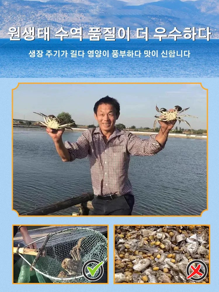 【머물러 싶은 맛】바삭한 해게