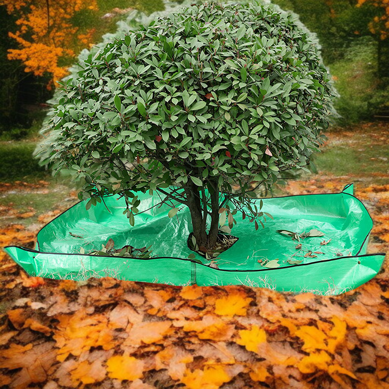 庭木剪定ターポリンで落ち葉を効率的に収集