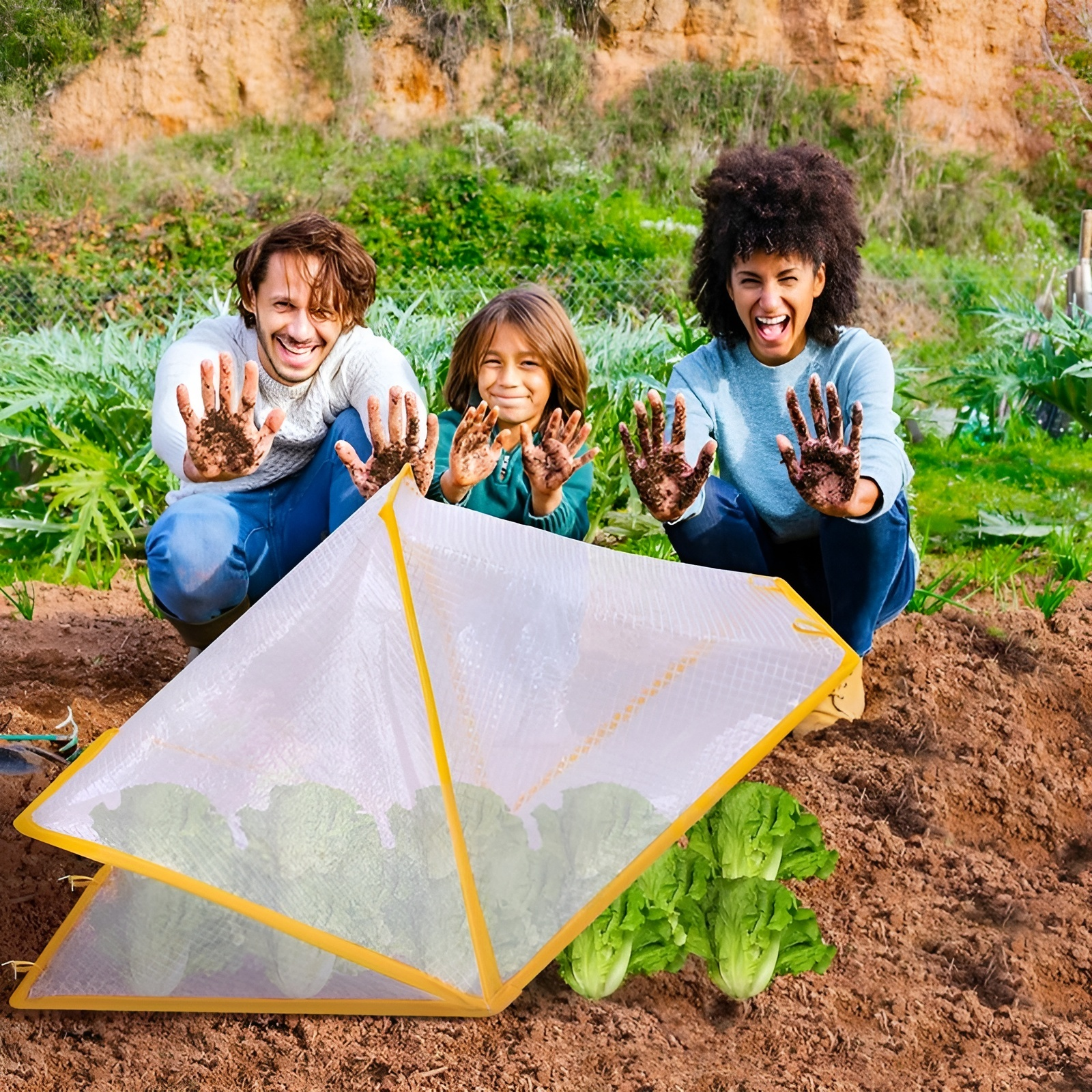 透明園芸植物断熱テント