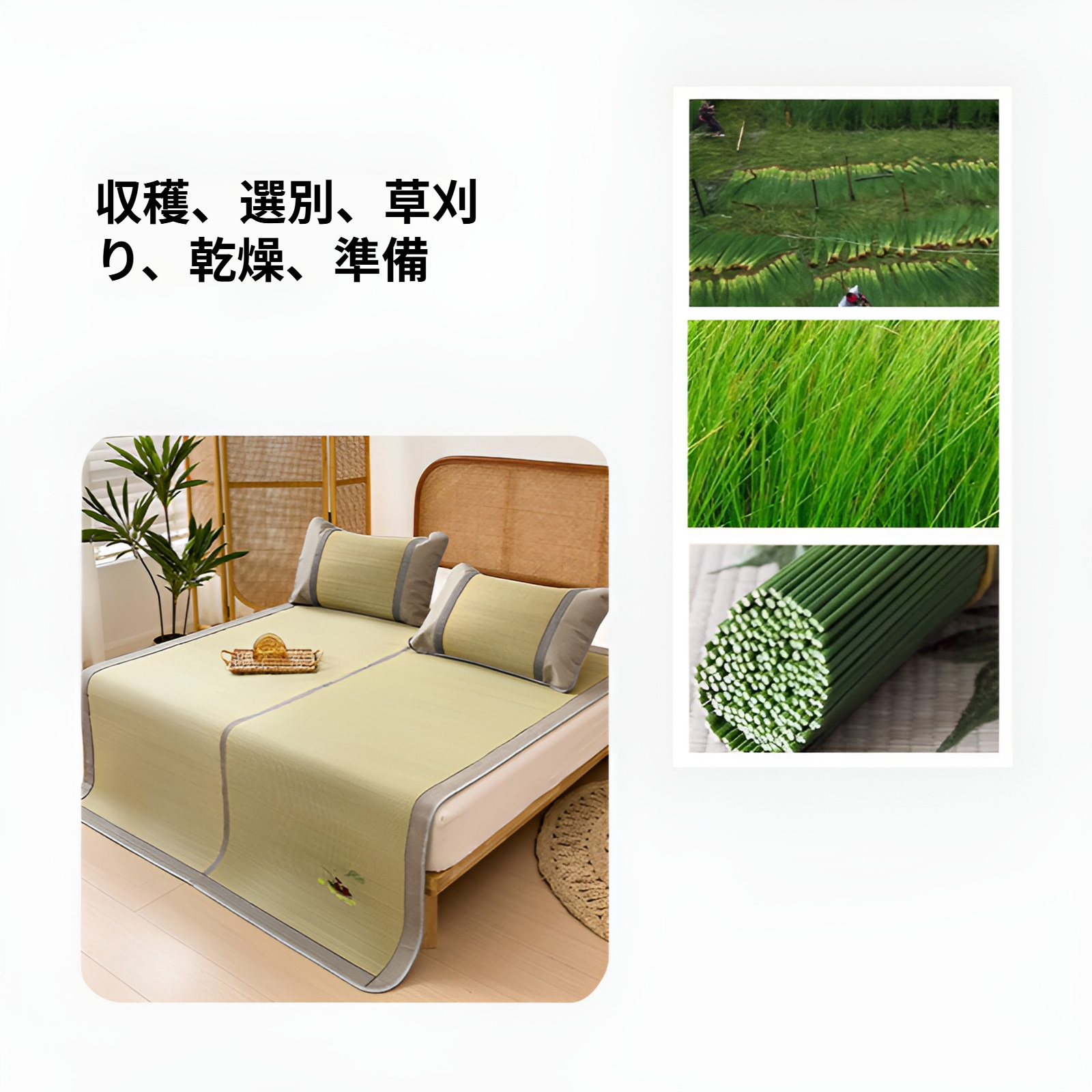 夏用カーペット・涼席としての畳マット