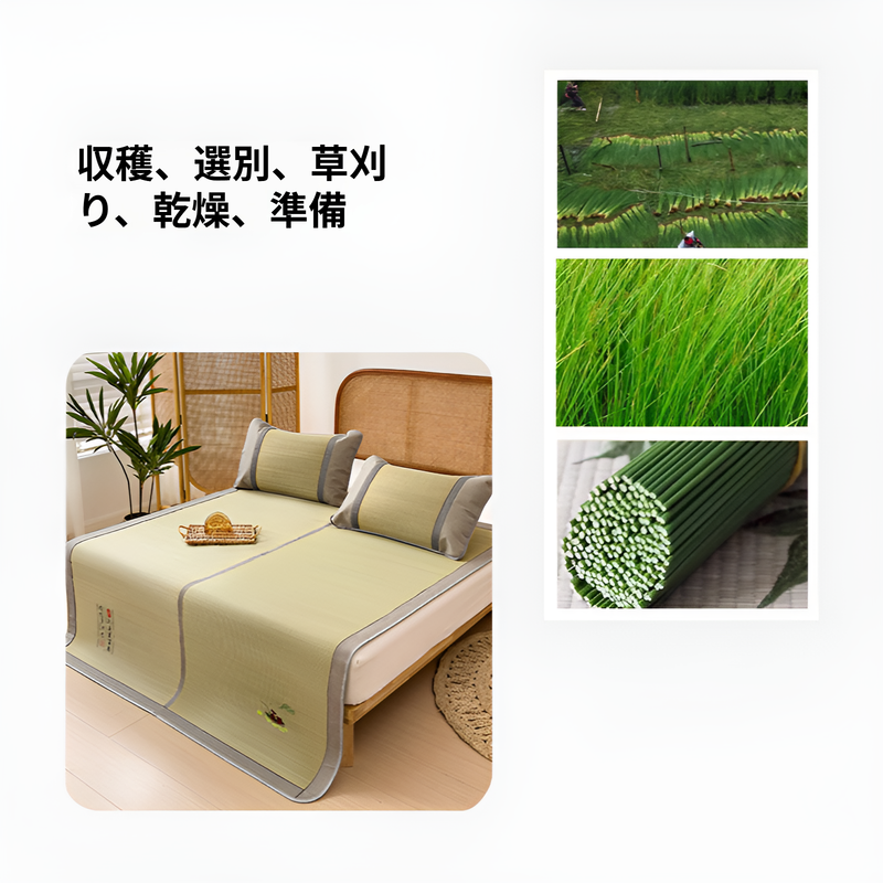 ござ ゴザ 畳 マット い草 ラグ いぐさ 寝ござ 畳の上に敷くマット たたみ 琉球畳 夏用 凉席 緑の天然素材 ほのかな草の香り 安眠を誘う カーペット 夏 ラグ
