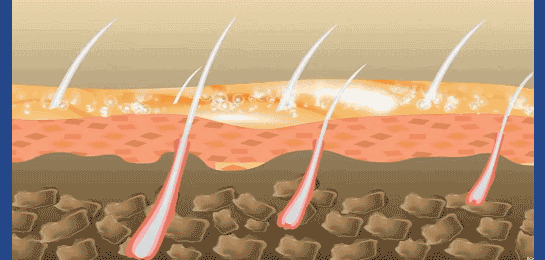 5244dcb762f05fff957e02ecb59eacec.gif
