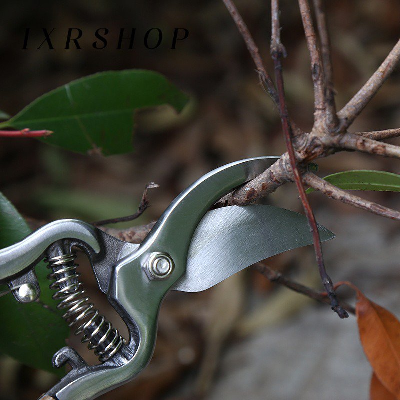 Mango de madera podadora tijeras florales jardín tijeras
