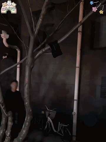 【365日電気代0円】クリップ式ソーラーセンサーライト「10年間の新品交換保証」