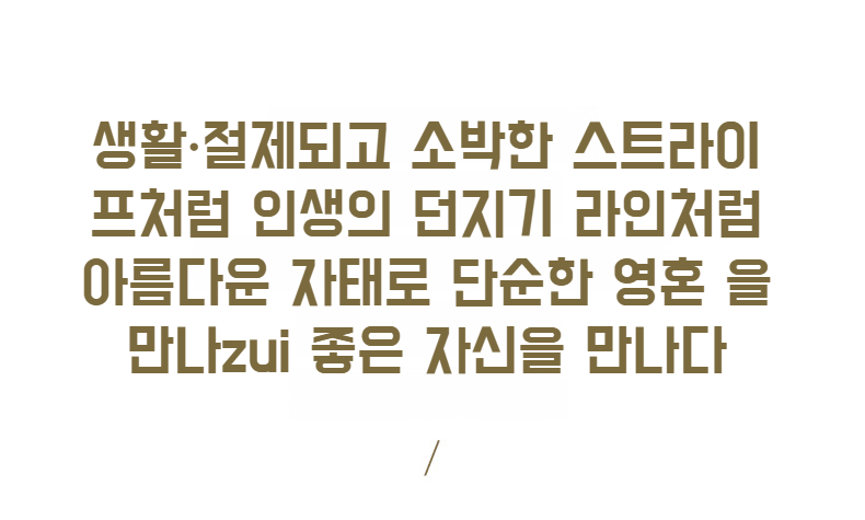 패브릭 소재의 튼튼한 세탁 바구니