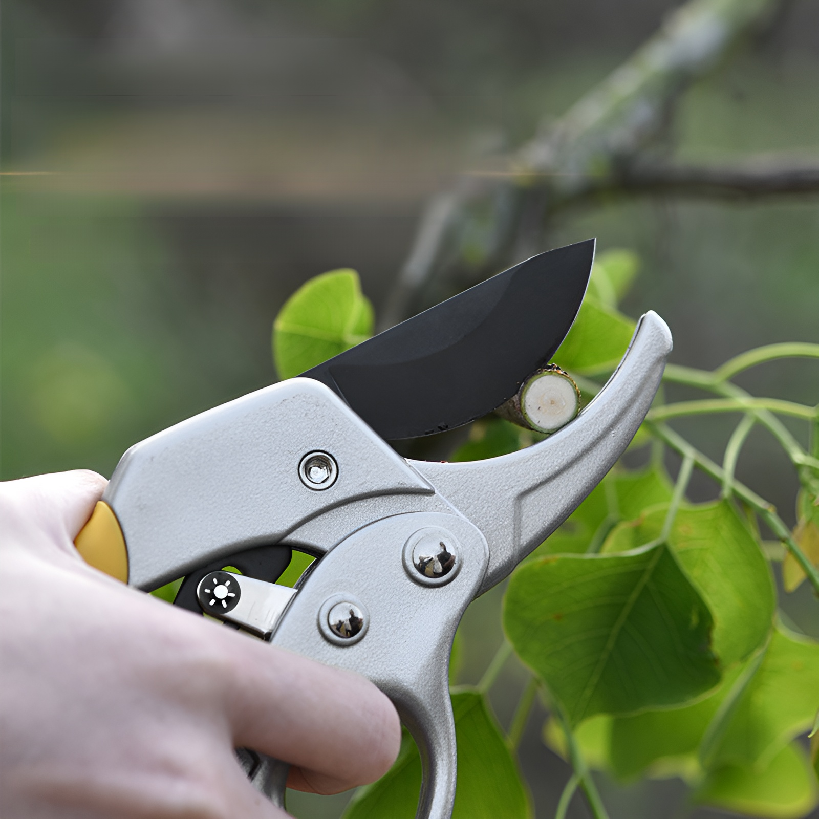 省力果樹剪定鋏