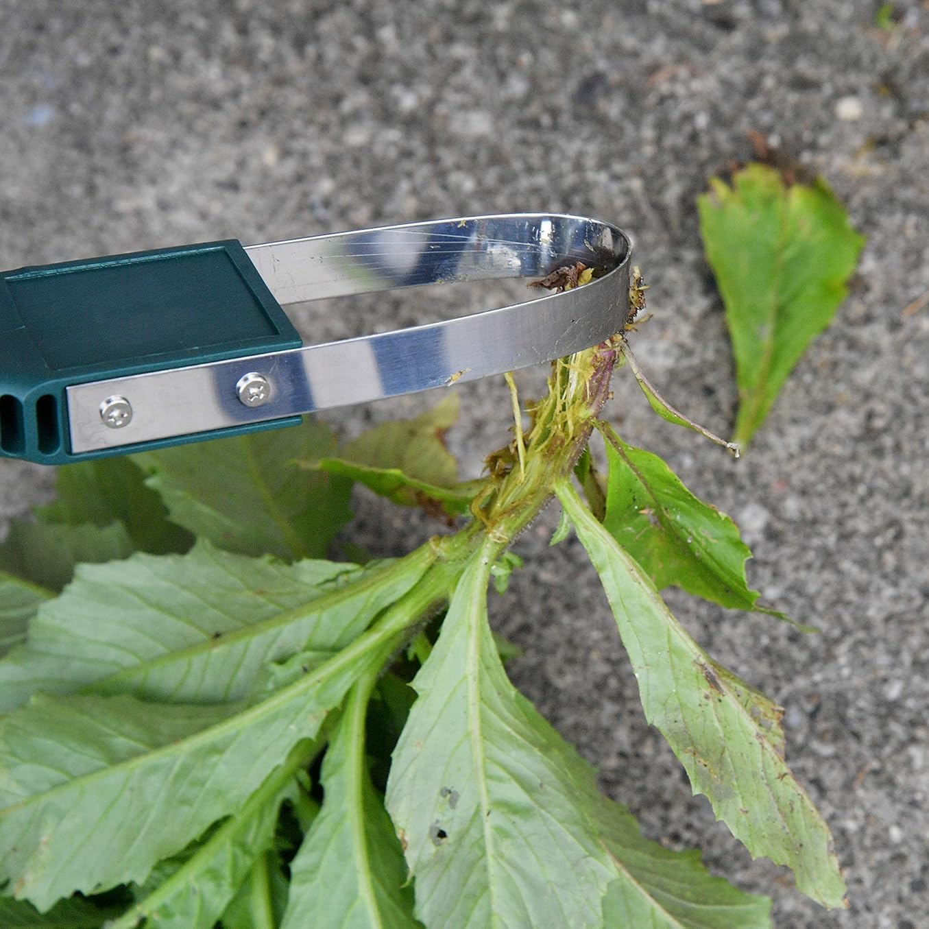 園芸用品 プラスチックハンドル除草機 除草ツール リングモア ハンドループ除草機