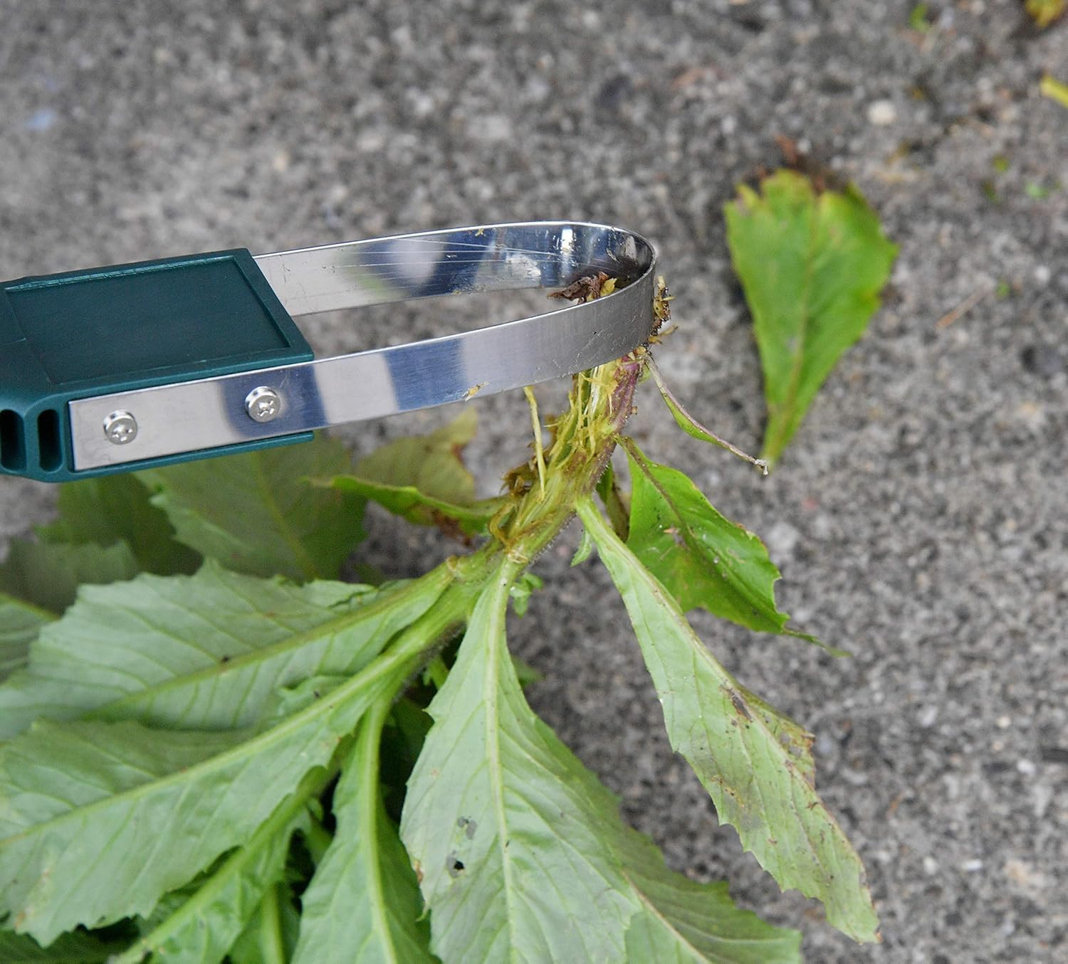 ガーデニング初心者にもおすすめの除草機