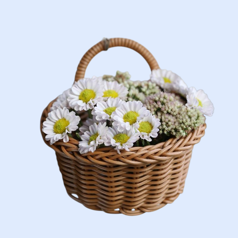 プラスチック製ラタン風壁掛けバスケット　キッチン用ネギ・ショウガ・ニンニク収納かご