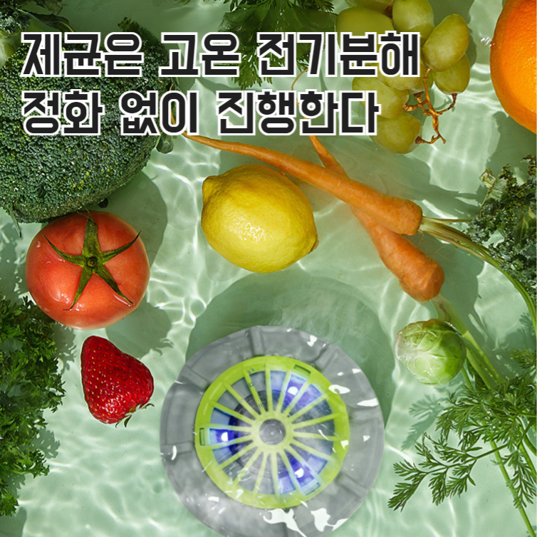 다양한 채소와 과일을 세척하는 회전식 야채세척기